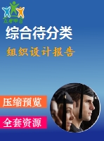 組織設(shè)計(jì)報(bào)告