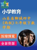 山東省聊城四中(西校)七年級下數學期末復習試題